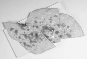 Butter Naan