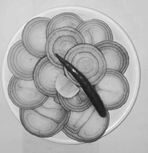 Mini Onion Salad.