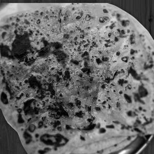 Special Parotta