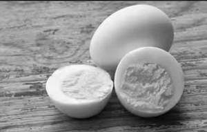 Boiled Egg (2)   