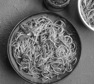 Garlic Noodles