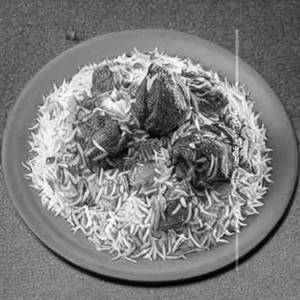 Smoked Awadhi Mutton Biryani