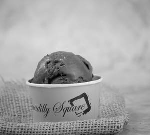 Belgian Chocolate Gelato Tub(500ML)