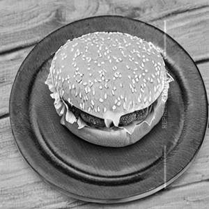 Veg. Onion Burger