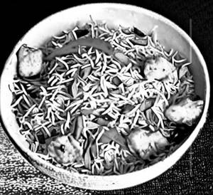 Chicken Singapuri Fried Rice