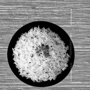 Plain Rice