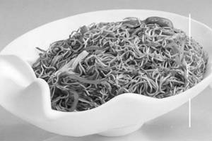 Veg Singapore Noodles