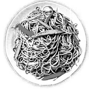 Schezwan Veg Noodles