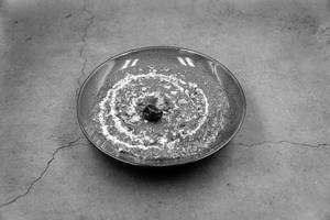 Palak Lehsuni Saag