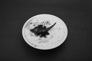 Curd Rice