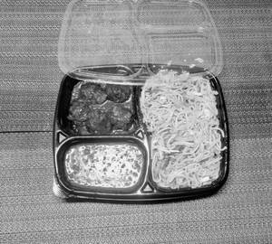 Veg Hakka Noodles with Veg Ball in Garlic sauce