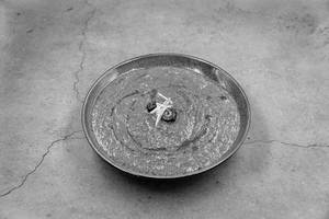 Sarso Da Saag