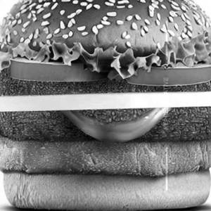 Paneer cheese sch burger