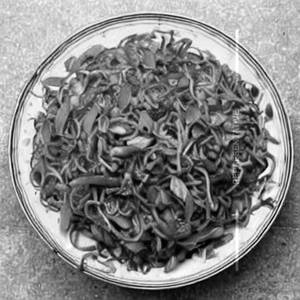 Mixed vegitable fried noodles