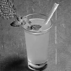 Mint Lemon Juice
