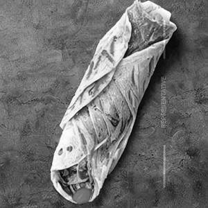 Fish Frankie