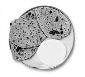 Aloo Paratha Curd