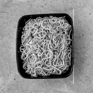 Butter Egg Noodles