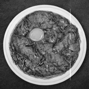 Egg boildcurry