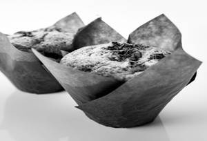 Blueberry Muffin