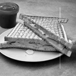 Cheese Sandwich Plain