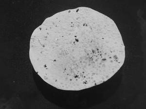 Fried Papad