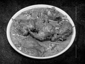 Hydrabadi Chicken