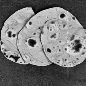 Plain Roti TAWA