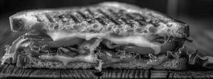 Cheese sandwich
