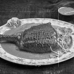 Tawa Fish