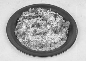 Veg Biryani