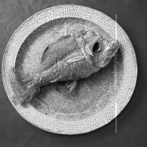 Golden Fried Fish 