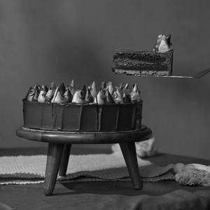 Hazelnut French Biscuit Cake Slice