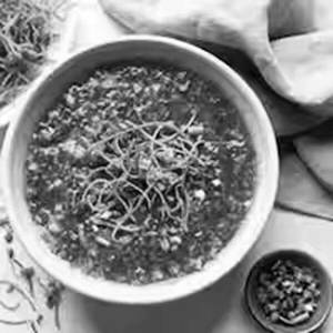 Manchow Soup