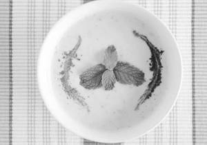 Podina Raita