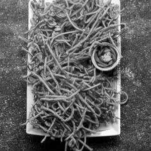 Crispy  noodle  roll