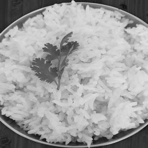 Plain Rice
