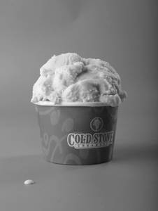 French Vanilla Ice Cream