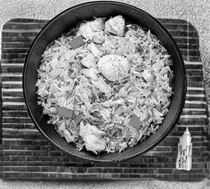 Egg chicken fried rice