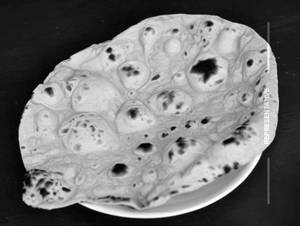 Tawa roti