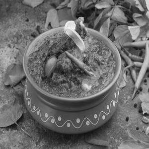 Nallamala Natokodi Gongura