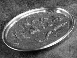 Shai Kurma