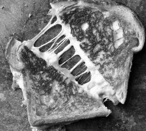 Bread butter cheese toast