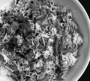 Tandoori paneer pasta