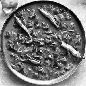 Matar Mushroom