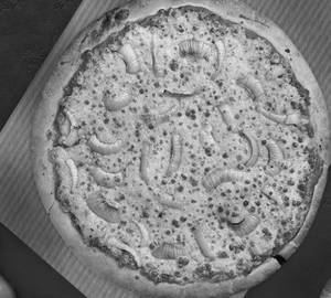 Onion cheese pizza