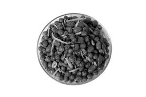 Matar Laccha 250gms