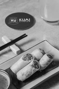 Crispy Duck Spring Roll