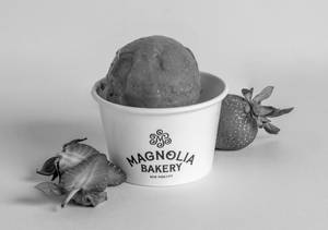 STRAWBERRY SORBET