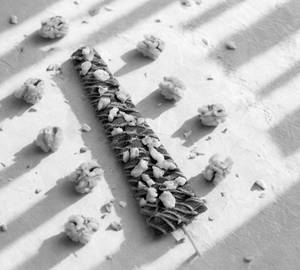 Walnut Wonder Long Waffle Stick